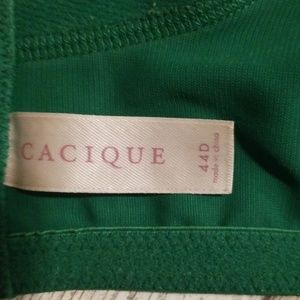 Cacique Intimates & Sleepwear - Cacique Green Bra Size 44D Cacique Intimates & Sleepwear - Cacique Green Bra Size 44D